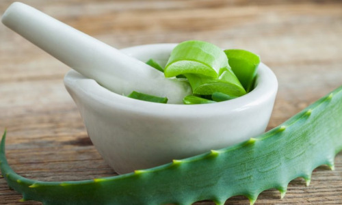 Алоэ: чем оно может быть опасно для здоровья