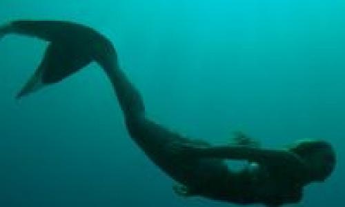 На берегу Черного моря нашли живую русалку - впечатляющие кадры