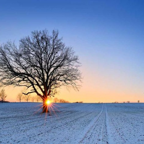 Что происходит в день зимнего солнцестояния 5. Зимнее солнцестояние Англия.