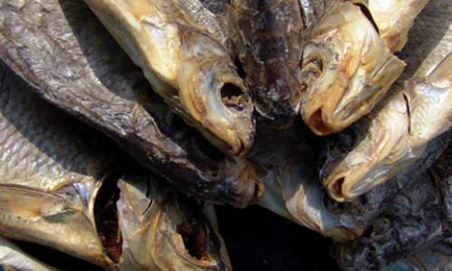 Испытывали страх и отвращение: какие советские продукты невзлюбили фашисты